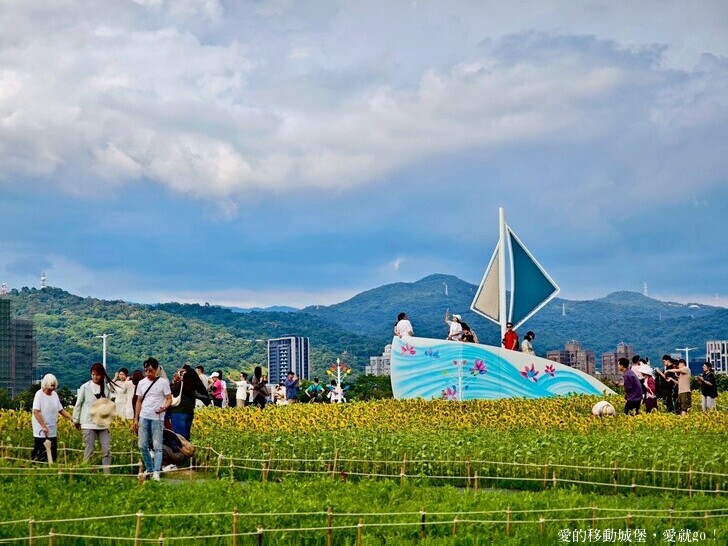 台北市中山區【2025台北賞花 樂遊趣】大佳河濱公園 向日葵花海金黃燦爛 紫色波斯菊花粉浪漫 自行車道自由行 親子共融遊戲區 愛就跟我一起快樂Go !