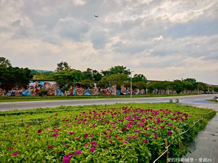 台北市中山區【2025台北賞花 樂遊趣】大佳河濱公園 向日葵花海金黃燦爛 紫色波斯菊花粉浪漫 自行車道自由行 親子共融遊戲區 愛就跟我一起快樂Go !