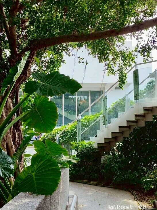 台北市中山區【2025台北賞花 樂遊趣】大佳河濱公園 向日葵花海金黃燦爛 紫色波斯菊花粉浪漫 自行車道自由行 親子共融遊戲區 愛就跟我一起快樂Go !