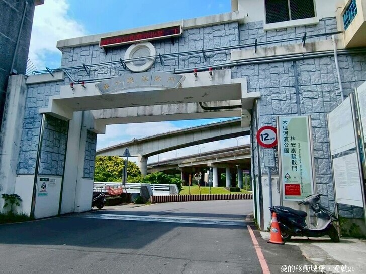 台北市中山區【2025台北賞花 樂遊趣】大佳河濱公園 向日葵花海金黃燦爛 紫色波斯菊花粉浪漫 自行車道自由行 親子共融遊戲區 愛就跟我一起快樂Go !