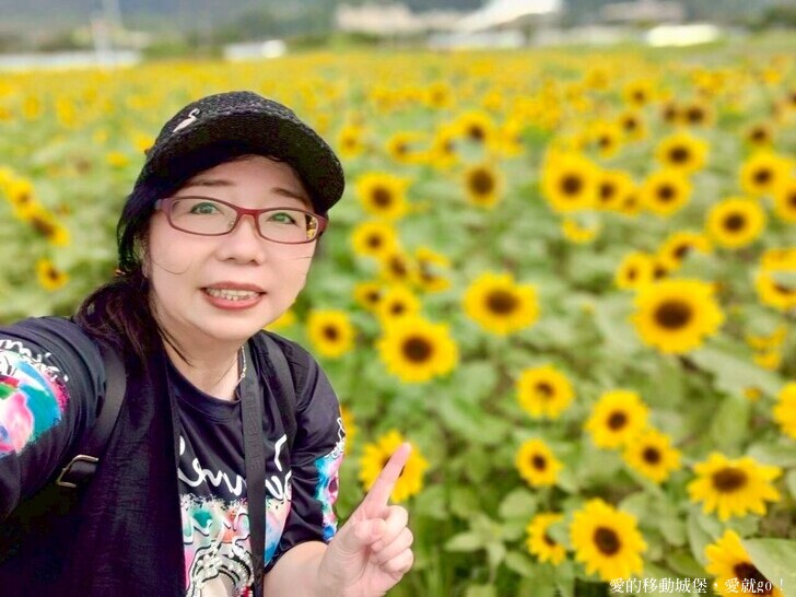 台北市中山區【2025台北賞花 樂遊趣】大佳河濱公園 向日葵花海金黃燦爛 紫色波斯菊花粉浪漫 自行車道自由行 親子共融遊戲區 愛就跟我一起快樂Go !