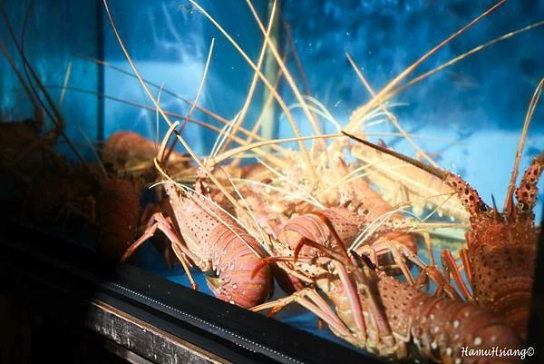 中山日本料理推薦首選！活體麵包蟹搭配十種豪華刺身全攻略。