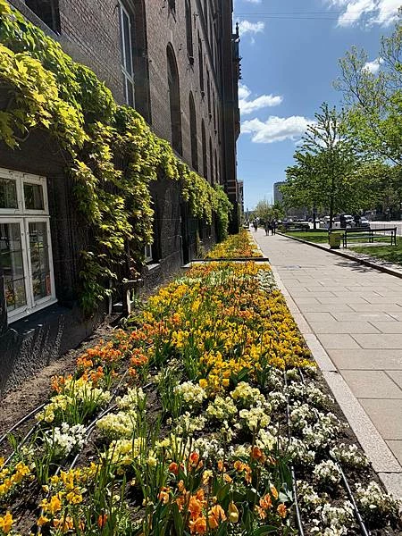 《北歐三國丹麥挪威瑞典旅遊 | 行前準備規劃 | 安全注意事項》丹麥：哥本哈根市區一日遊 | 市政廳廣場、漢...