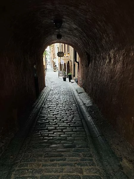 《北歐旅遊｜瑞典》卡爾斯塔德、Orebro、首都斯德哥爾摩市區遊 Stockholm、市政廳、瓦薩博物館 Vasa Museum...