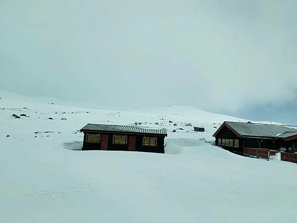 《北歐旅遊 | 挪威卑爾根 Bergen》菲爾鈴瀑布Voringfossen、呂根、弗羅伊恩山 | 公主fun出遊（第三篇）