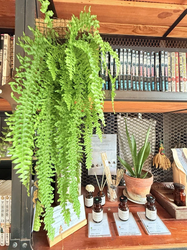 台南甜點一日遊攻略！五月天瑪莎妹妹開的民宿咖啡廳，台南新美街巷弄甜點店。