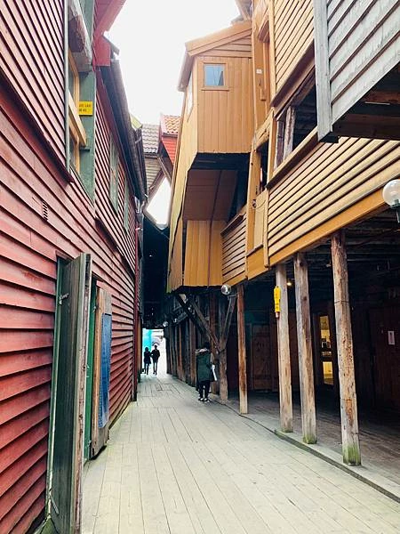 《北歐旅遊 | 挪威卑爾根 Bergen》菲爾鈴瀑布Voringfossen、呂根、弗羅伊恩山 | 公主fun出遊（第三篇）