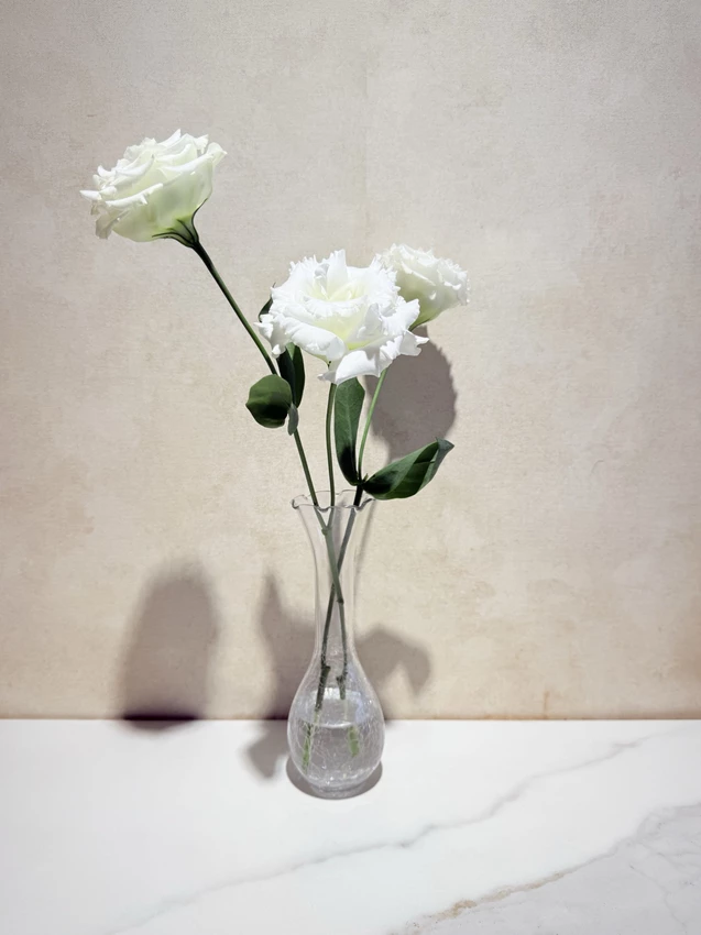 台南甜點一日遊攻略！五月天瑪莎妹妹開的民宿咖啡廳，台南新美街巷弄甜點店。