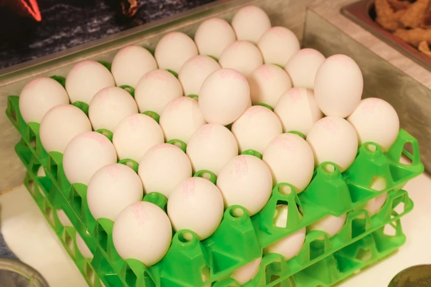 中壢火鍋吃到飽推薦!魔椒頂級鴛鴦鍋海鮮 A5和牛吃到飽,壽星再送龍蝦。