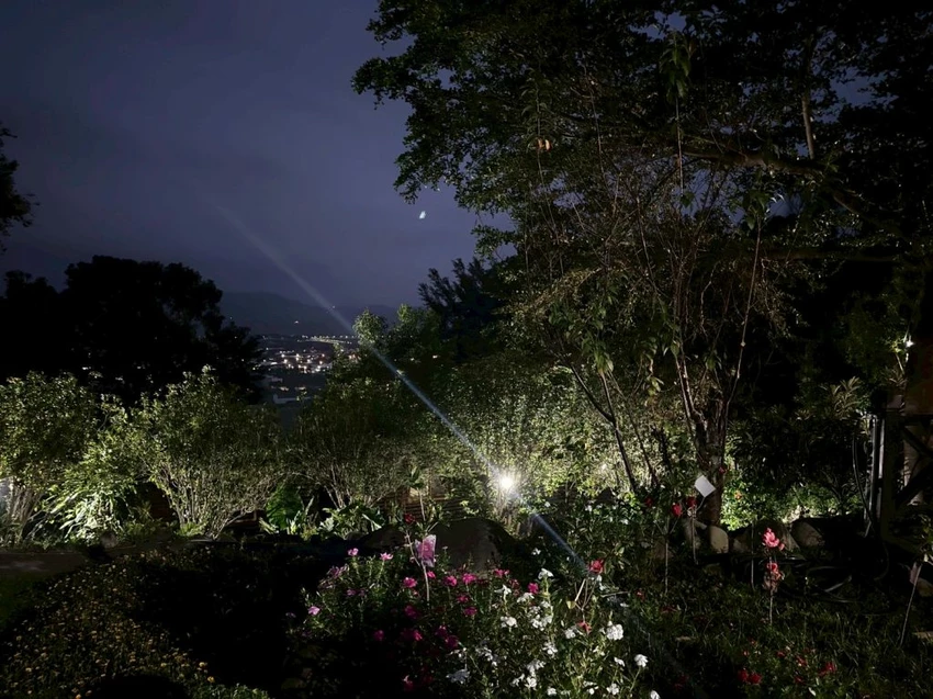 台中夜景餐廳推薦！鳥語花香泡腳邊賞百萬夜景，超萌小動物互動超療癒。