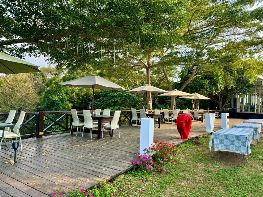 台中夜景餐廳推薦！鳥語花香泡腳邊賞百萬夜景，超萌小動物互動超療癒。