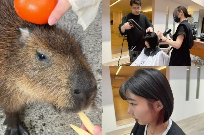 台中義大利麵推薦！NU PASTA 義大利麵聯名「人浮於愛」限定套餐，浮誇系雙主食義大利麵。