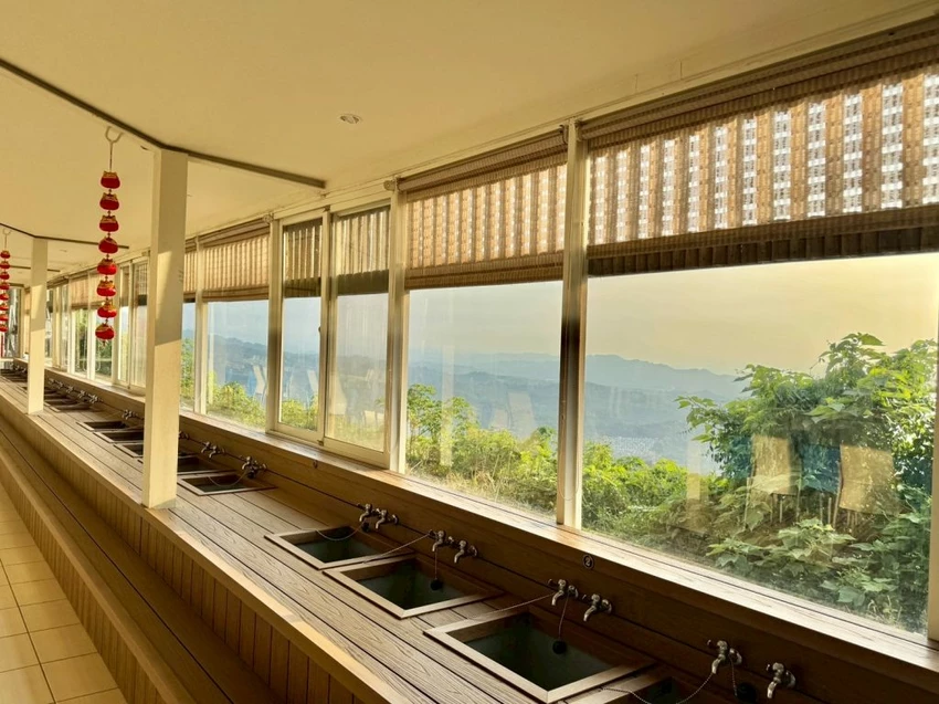 台中夜景餐廳推薦！鳥語花香泡腳邊賞百萬夜景，超萌小動物互動超療癒。