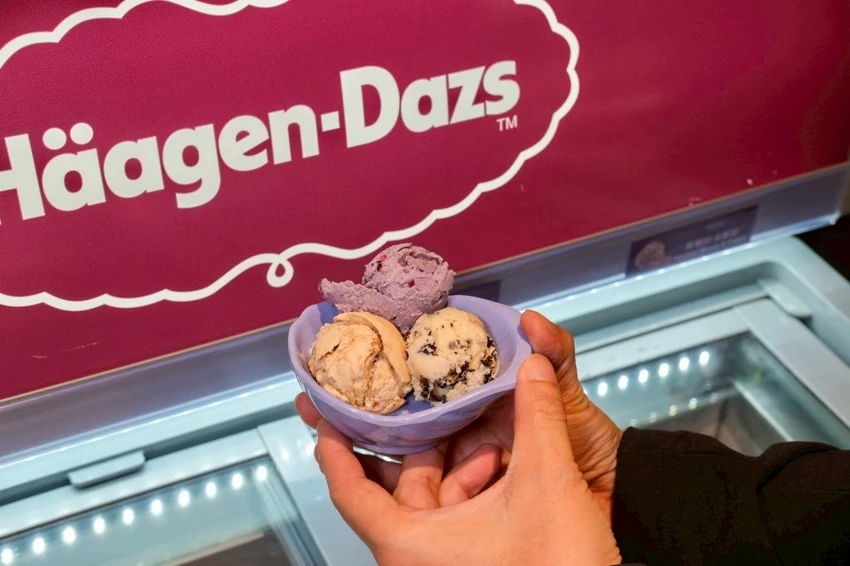 中壢火鍋吃到飽推薦!魔椒頂級鴛鴦鍋海鮮 A5和牛吃到飽,壽星再送龍蝦。