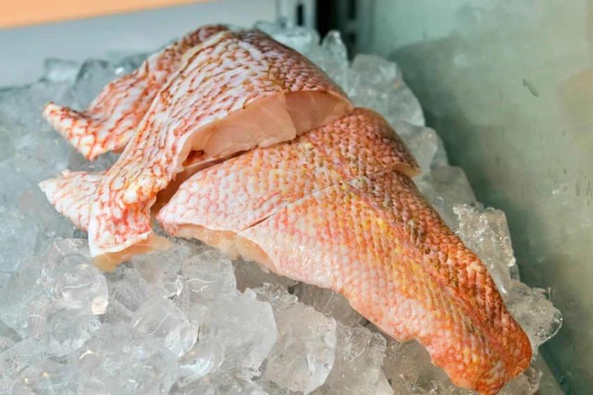 中壢火鍋吃到飽推薦!魔椒頂級鴛鴦鍋海鮮 A5和牛吃到飽,壽星再送龍蝦。