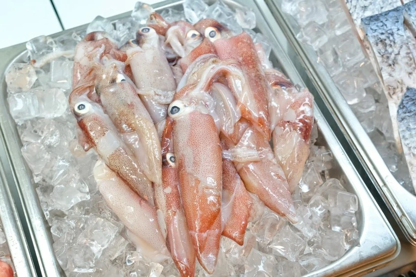 中壢火鍋吃到飽推薦!魔椒頂級鴛鴦鍋海鮮 A5和牛吃到飽,壽星再送龍蝦。