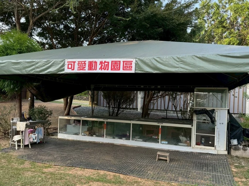 台中夜景餐廳推薦！鳥語花香泡腳邊賞百萬夜景，超萌小動物互動超療癒。
