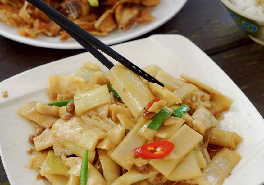 雲林古坑一日遊攻略|創樂子手作、多肉DIY、華山陶壺烘咖啡豆DIY與在地美食完整行程推薦!!