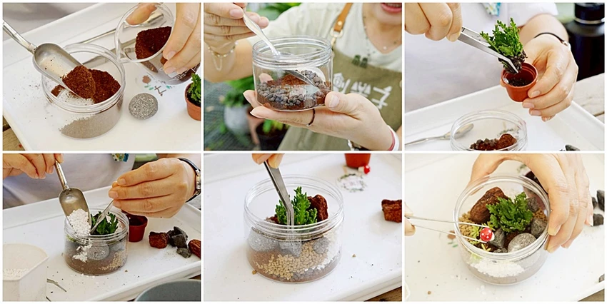 雲林古坑一日遊攻略|創樂子手作、多肉DIY、華山陶壺烘咖啡豆DIY與在地美食完整行程推薦!!