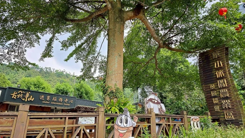 雲林古坑一日遊攻略|創樂子手作、多肉DIY、華山陶壺烘咖啡豆DIY與在地美食完整行程推薦!!