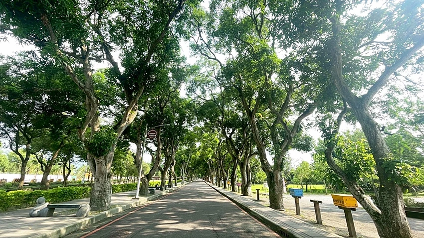 雲林古坑一日遊攻略|創樂子手作、多肉DIY、華山陶壺烘咖啡豆DIY與在地美食完整行程推薦!!