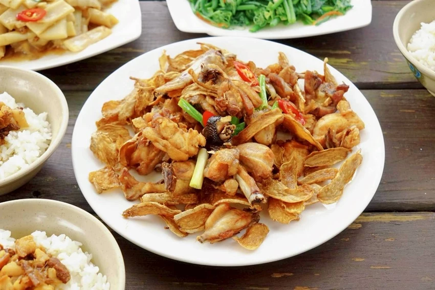 雲林古坑一日遊攻略|創樂子手作、多肉DIY、華山陶壺烘咖啡豆DIY與在地美食完整行程推薦!!