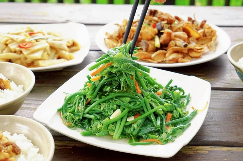 雲林古坑一日遊攻略|創樂子手作、多肉DIY、華山陶壺烘咖啡豆DIY與在地美食完整行程推薦!!