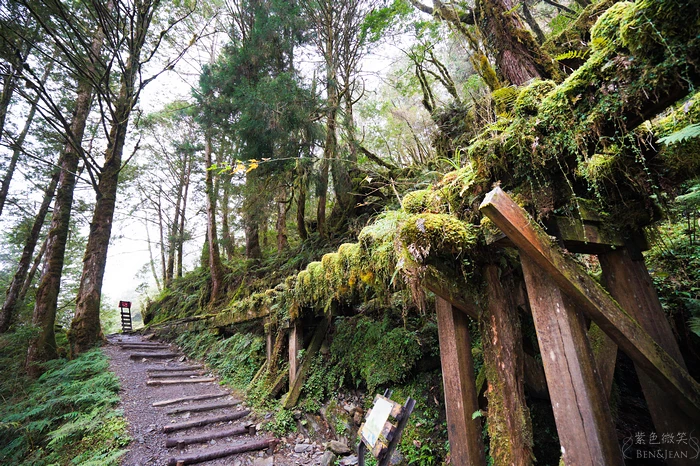 【宜蘭大同鄉景點美食】太平山11個必去秘境步道.地熱溫泉.必吃美食一次收集！