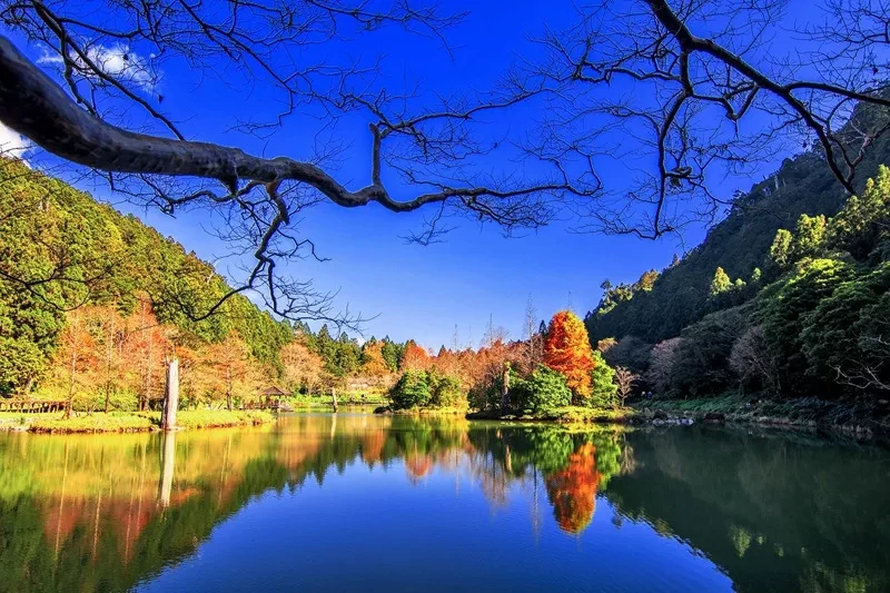 【宜蘭大同鄉景點美食】太平山11個必去秘境步道.地熱溫泉.必吃美食一次收集！