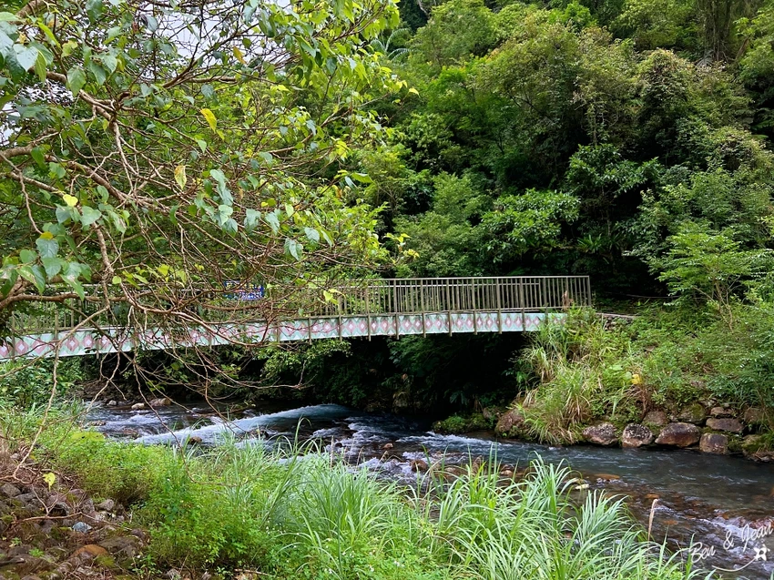 【宜蘭大同鄉景點美食】太平山11個必去秘境步道.地熱溫泉.必吃美食一次收集！