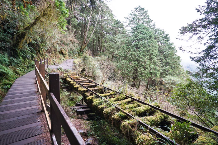 【宜蘭大同鄉景點美食】太平山11個必去秘境步道.地熱溫泉.必吃美食一次收集！