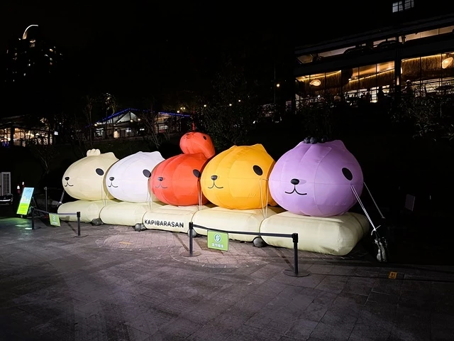 2025碧潭地景裝置展｜呆在碧潭の水豚君，活動日期：2025