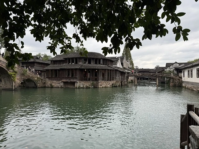 2025蟹逅故事江南D4. 10/21㊁📸烏鎮風景區、敘昌醬