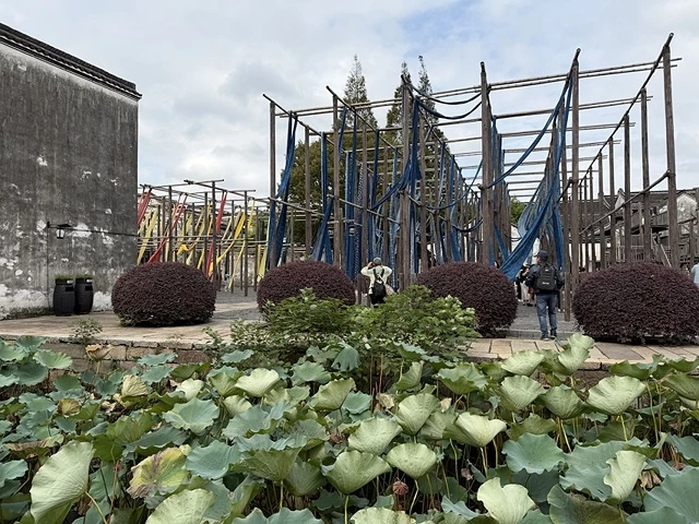 2025蟹逅故事江南D4. 10/21㊁📸烏鎮風景區、敘昌醬