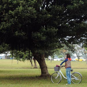 新店溪右岸自行車道