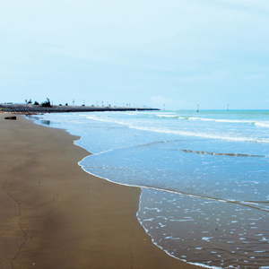 好美寮自然生態保護區