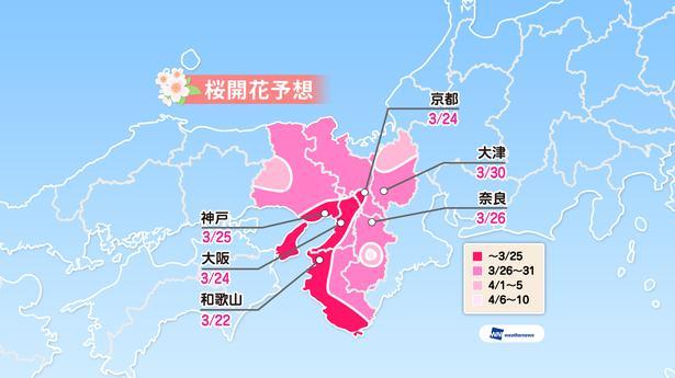 è¿ç¿ã®æ¡éè±äºæ³(äºæ³ã¯2019å¹´3æ5æ¥çºè¡¨ / ã¦ã§ã¶ã¼ãã¥ã¼ãº)