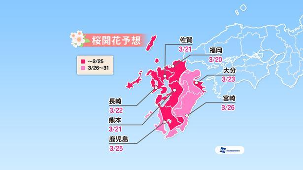 ä¹å·ã®æ¡éè±äºæ³(äºæ³ã¯2019å¹´3æ5æ¥çºè¡¨ / ã¦ã§ã¶ã¼ãã¥ã¼ãº)