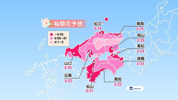 ä¸å½ã»åå½å°æ¹ã®æ¡éè±äºæ³(äºæ³ã¯2019å¹´3æ5æ¥çºè¡¨ / ã¦ã§ã¶ã¼ãã¥ã¼ãº)