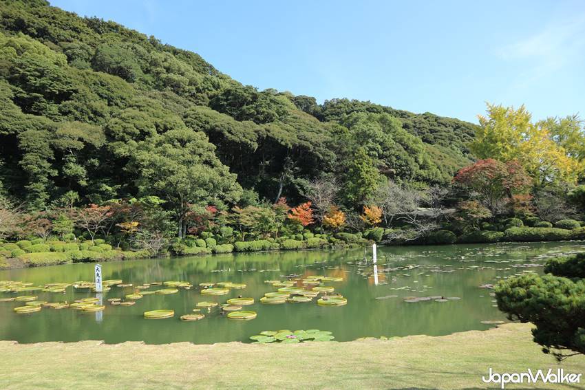 別府地獄 別府地獄
