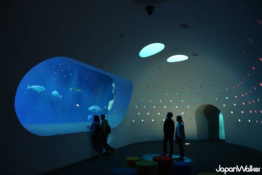 うみたまご水族館 うみたまご水族館