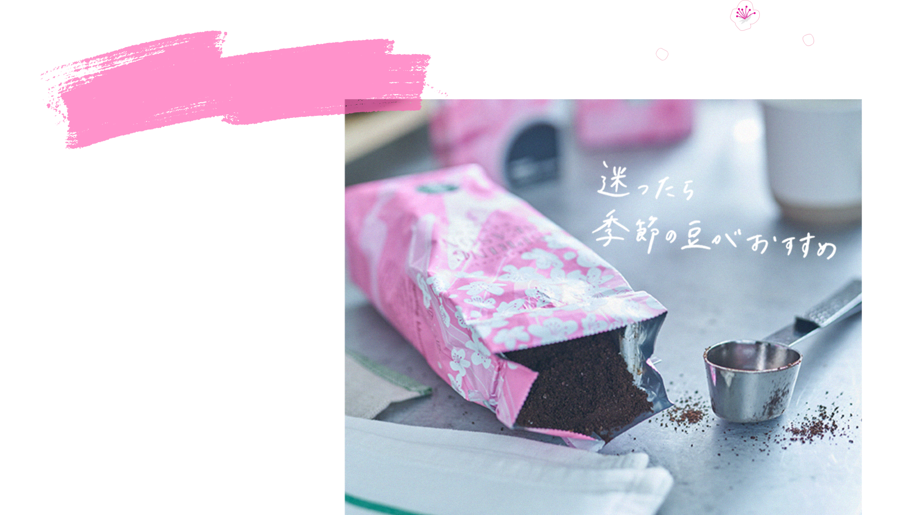 櫻花咖啡星巴克