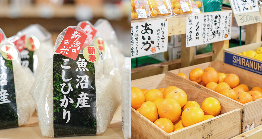 前進日本豪雪地帶 新潟市區經典路線一日遊 必吃海產 最佳夜景展望台 打卡熱點 賞雪 滑雪之餘一定要玩的新潟必訪景點