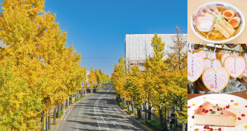東京近郊一日遊 遠離城市前進東京西側八王子 享受難得悠閒的旅程吧 充滿歷史文化與活力的旅遊選擇 玩日本 愛寵物