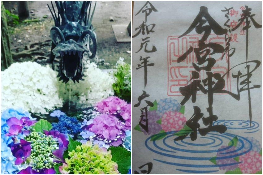 日本全國神社寺廟超好拍夢幻花手水大集合 繽紛花朵飄浮水面上讓人目炫神迷 感受四季自然之美 Japanwalker Taipeiwalker Walkerland