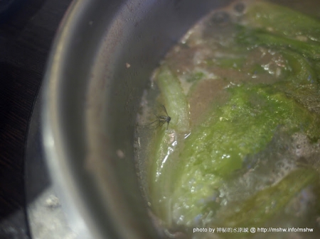 大甲鍋神庭園日式涮涮鍋：料好實在超滿足! ~ 台中〞大甲鍋神庭園日式涮涮鍋〞