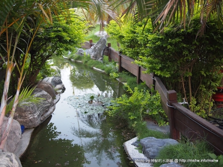 大甲鍋神庭園日式涮涮鍋：料好實在超滿足! ~ 台中〞大甲鍋神庭園日式涮涮鍋〞