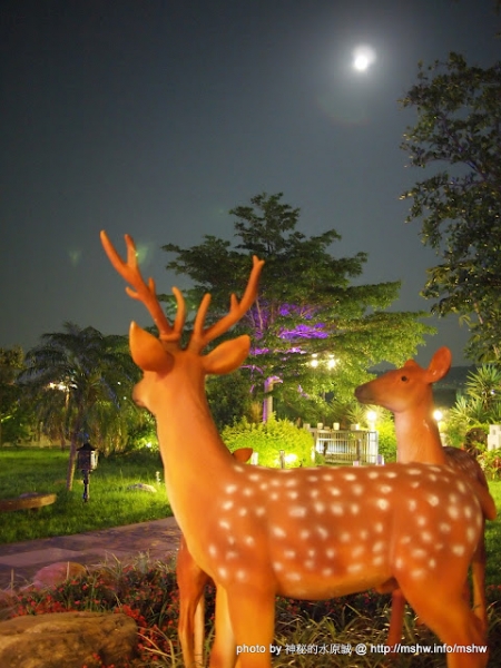 大甲鍋神庭園日式涮涮鍋：料好實在超滿足! ~ 台中〞大甲鍋神庭園日式涮涮鍋〞