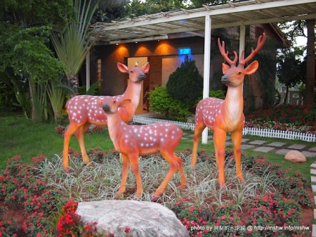 大甲鍋神庭園日式涮涮鍋：料好實在超滿足! ~ 台中〞大甲鍋神庭園日式涮涮鍋〞