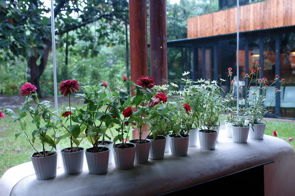 新竹美食周記(十)Buono Bella 義大利餐廳--超級漂亮有個性-阿德主廚崇尚天然又風趣